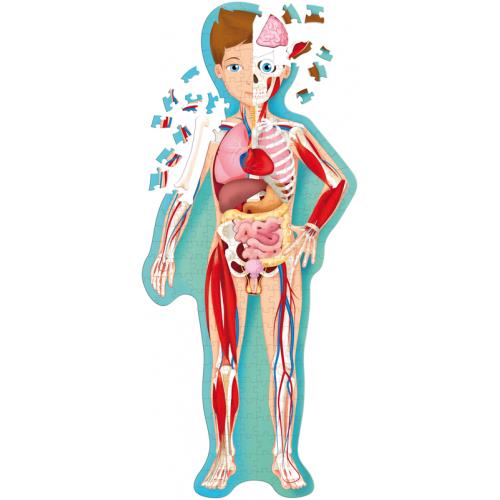 The Human Body Jigsaw Puzzle