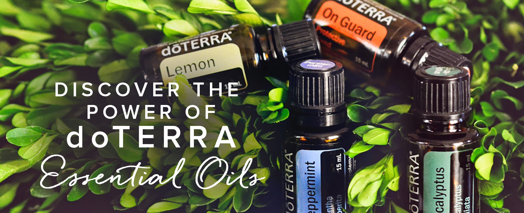 doterra-essential-oils-australia-lime-tree-kids