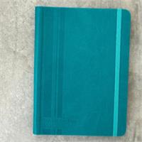 Master Plan Diary Teal